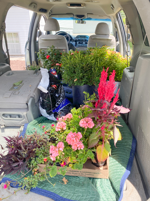 Discover how Earl May’s DIY Dynamic Design helps you choose the perfect plants with expert guidance—turn any yard into a beautiful, well-planned space.