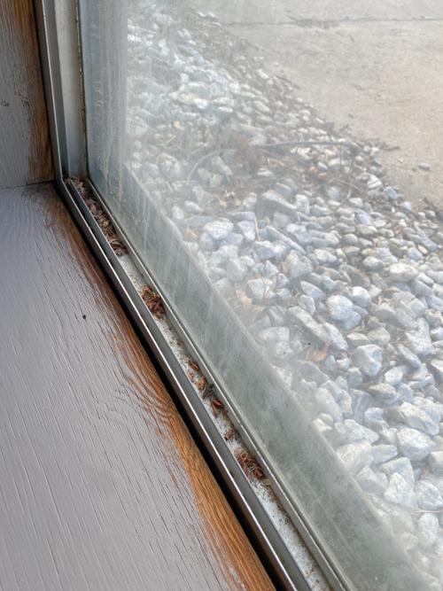 Window World replacement windows transformed our flip house. Our honest experience, from consultation to install, with warranty details, style options & more.