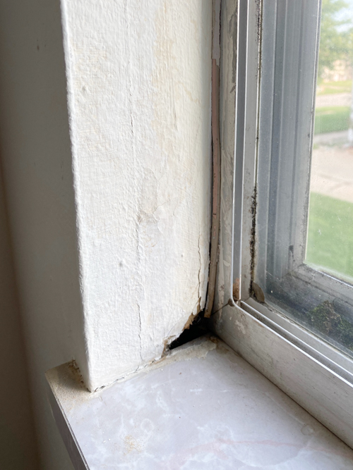 Window World replacement windows transformed our flip house. Our honest experience, from consultation to install, with warranty details, style options & more.