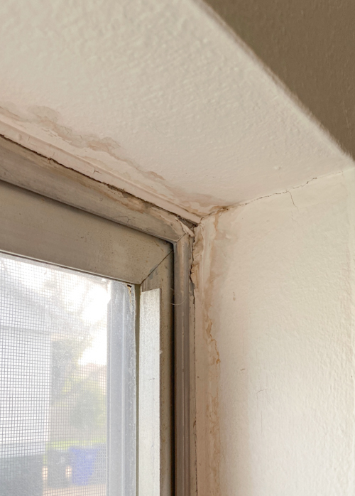 Window World replacement windows transformed our flip house. Our honest experience, from consultation to install, with warranty details, style options & more.