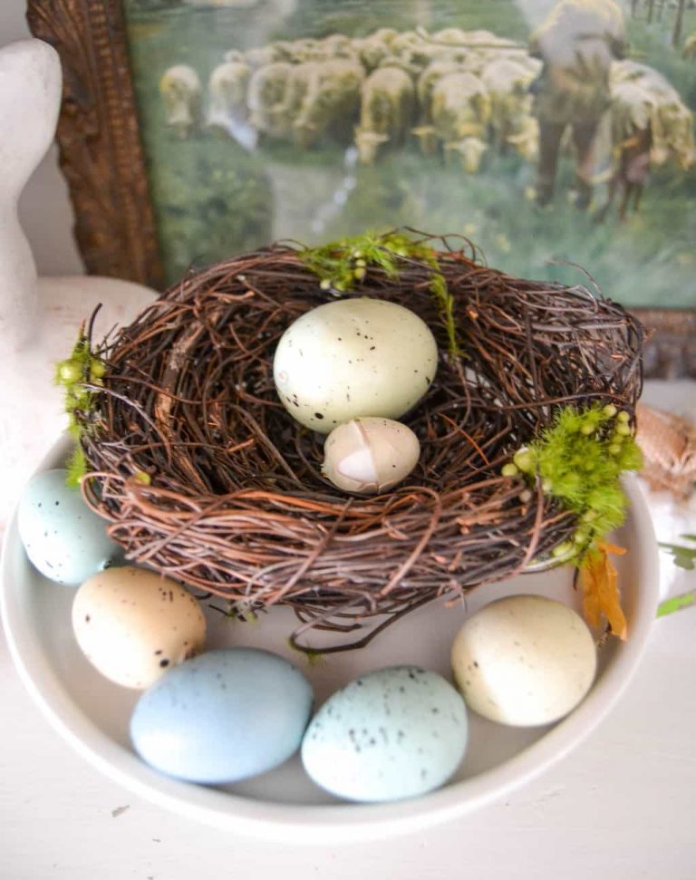 Spring 2026 decor trends are here! Discover what’s in and how to thrift budget-friendly finds that match the season’s style and vibe.