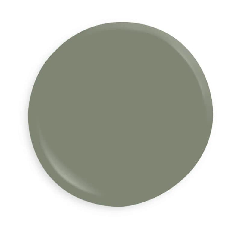 Discover the trending paint colors for 2026, from calming greens and blues to warm neutrals and bold accent shades to refresh any room.