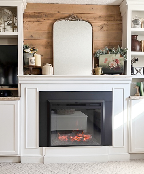 Electric Fireplace Insert Heater For the Family Room