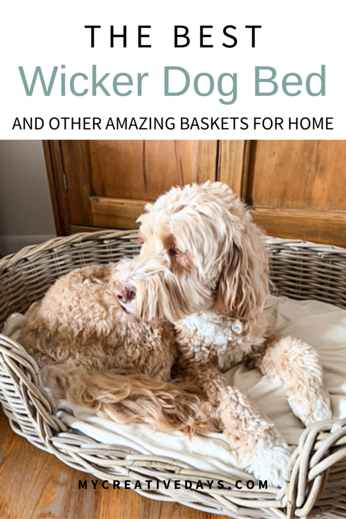Find the best wicker dog bed for quality, color, size, and price, plus other stylish, budget-friendly baskets to organize and decorate your home.
