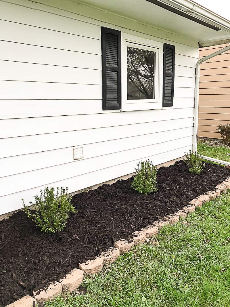 Front yard landscaping ideas to boost curb appeal on any budget. Discover simple, creative ways to transform your front yard with plants, DIY projects, and easy design tips.