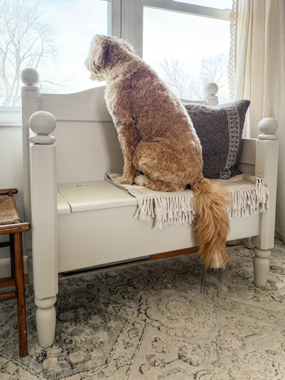 This bench makeover with durable paint shows how to fix a worn painted bench that didn’t hold up. See how I repainted it for a long-lasting finish.