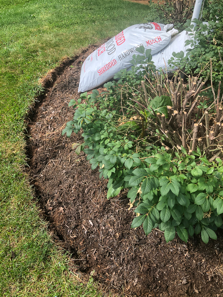 Looking for simple flower bed ideas? Discover creative, budget-friendly ways to design beautiful flower beds that add charm and curb appeal to any home.