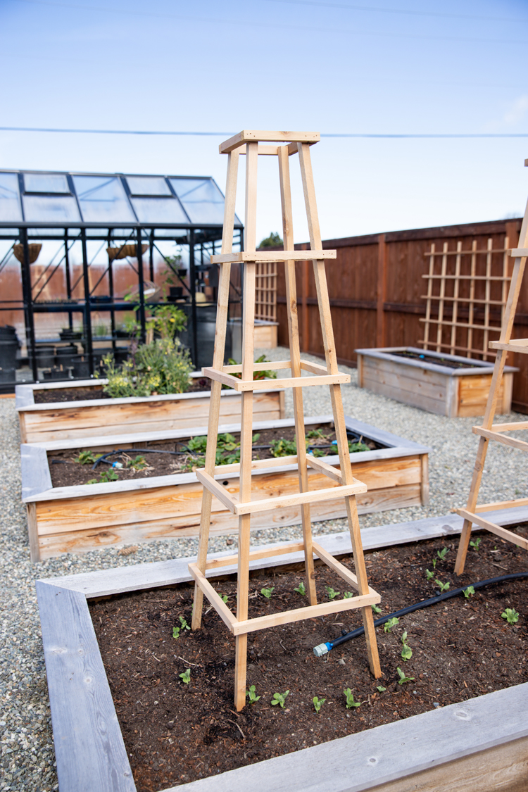 DIY wood trellis ideas to add charm and structure to your outdoor space. Simple projects that make a big impact in your garden or yard.