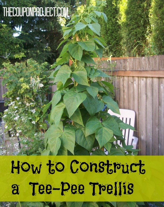 DIY wood trellis ideas to add charm and structure to your outdoor space. Simple projects that make a big impact in your garden or yard.