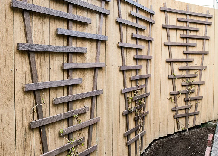 DIY wood trellis ideas to add charm and structure to your outdoor space. Simple projects that make a big impact in your garden or yard.