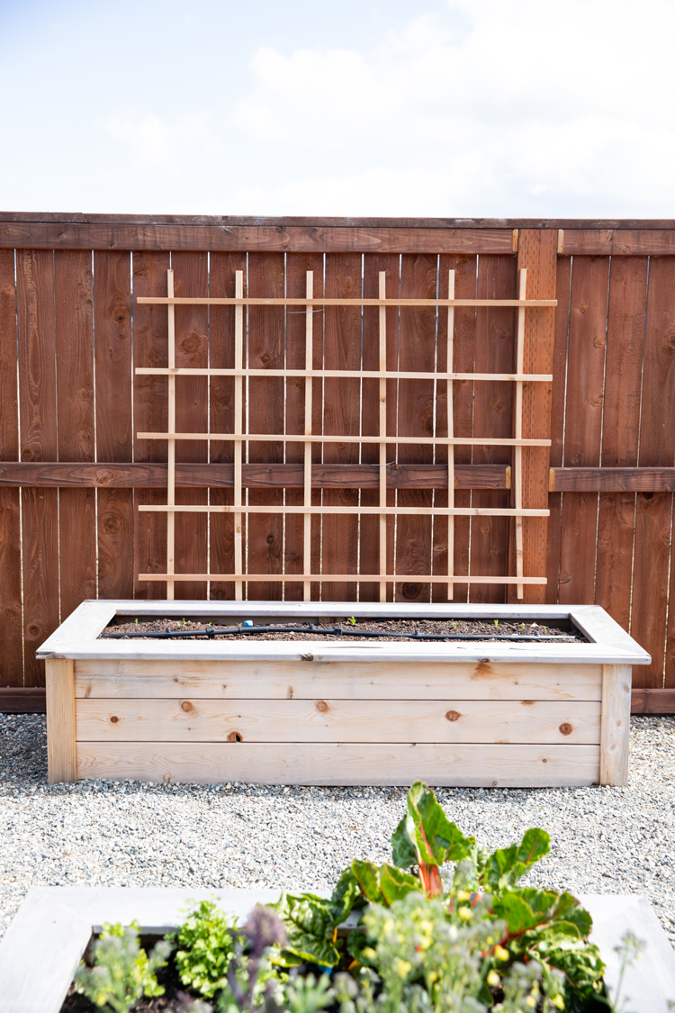 DIY wood trellis ideas to add charm and structure to your outdoor space. Simple projects that make a big impact in your garden or yard.