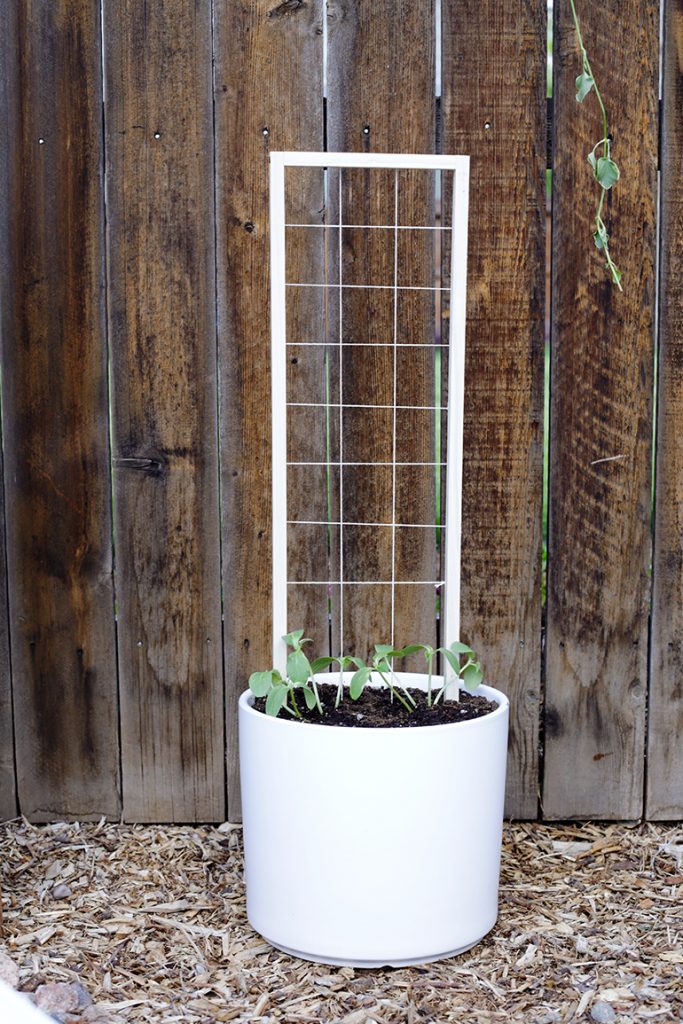 DIY wood trellis ideas to add charm and structure to your outdoor space. Simple projects that make a big impact in your garden or yard.