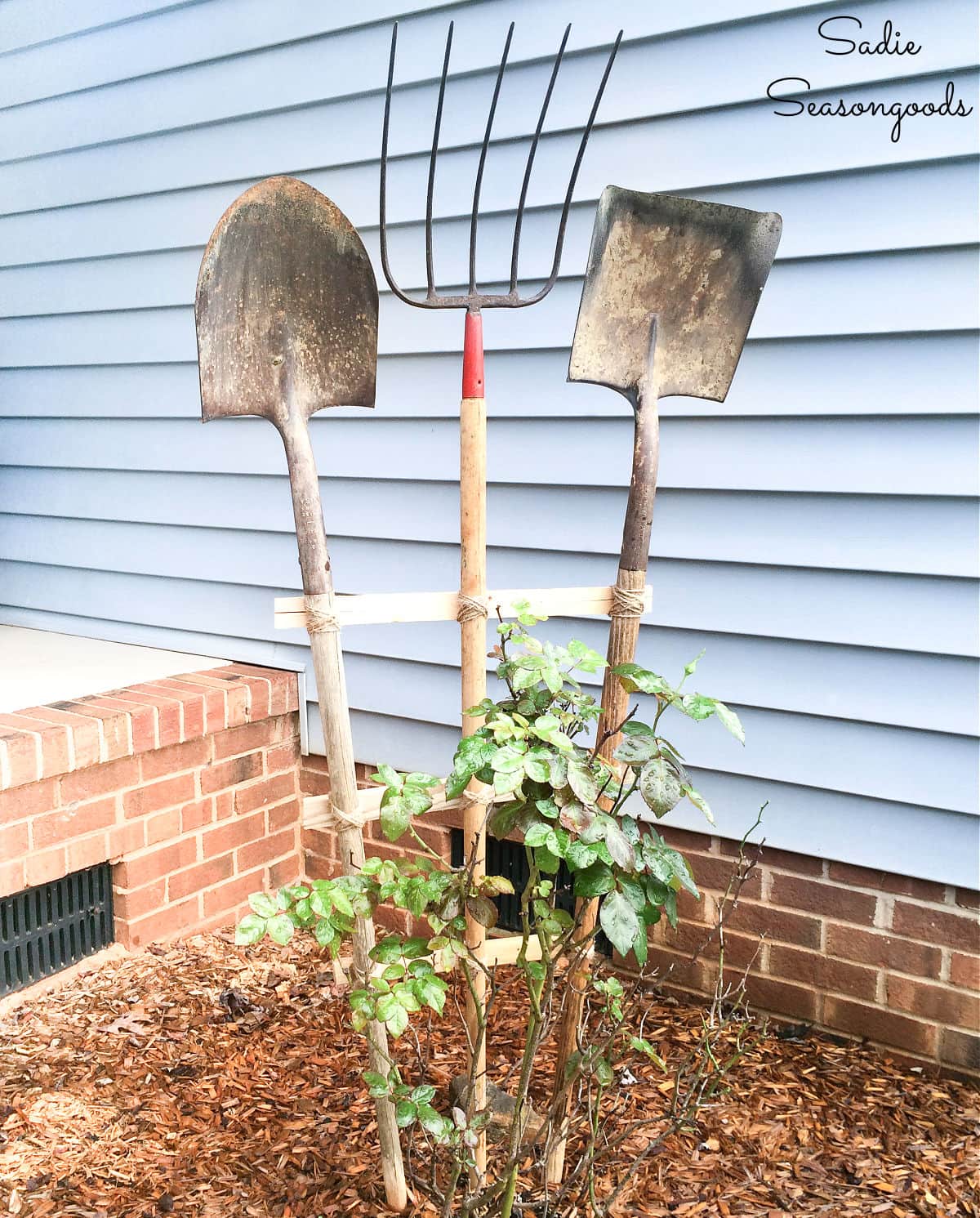 DIY wood trellis ideas to add charm and structure to your outdoor space. Simple projects that make a big impact in your garden or yard.