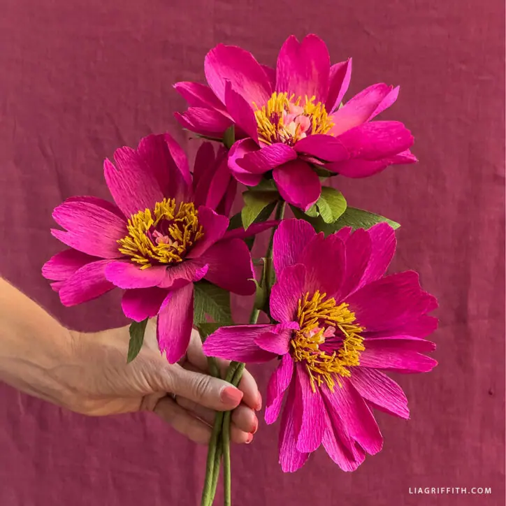 Easy paper flower crafts that are simple, affordable, and fun to make. Creative DIY flower ideas perfect for home decor and seasonal projects.