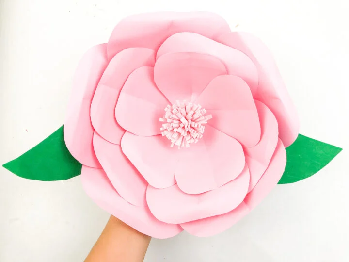 Easy paper flower crafts that are simple, affordable, and fun to make. Creative DIY flower ideas perfect for home decor and seasonal projects.