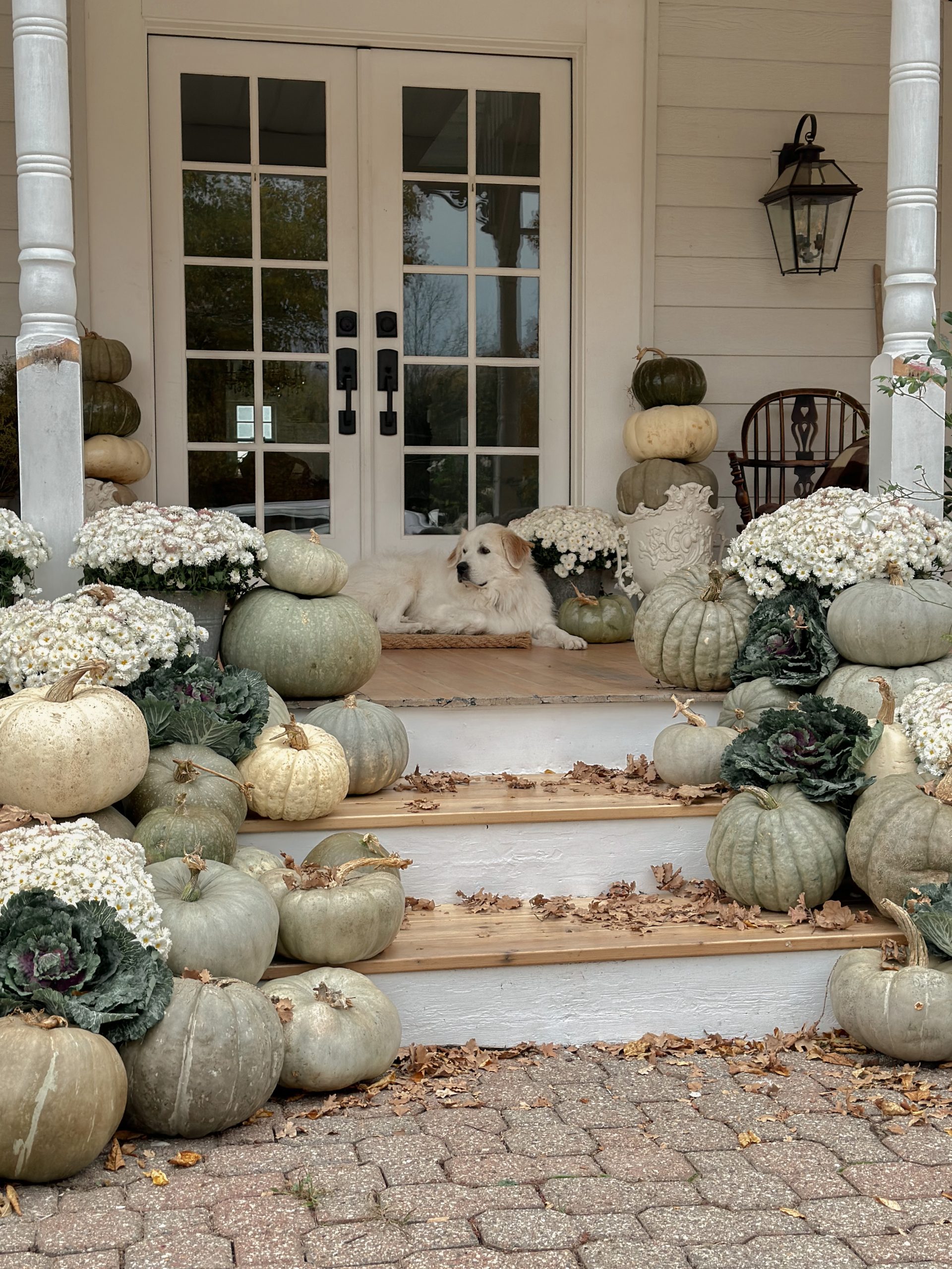Fall Porch Decorating Ideas for every type of space! Get inspiration for front, small, back, screened, and three-season porches with cozy fall decor ideas.